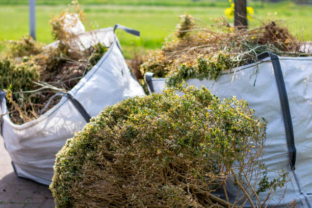 Best Electronics Removal Services  in Oak Harbor, OH